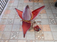 DSCN9770.JPG DSCN9770.JPG