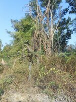 IMG_20180127_185137.jpg