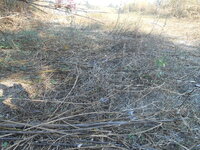 DSCN9618_new.jpg