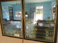 DSCN9723.JPG