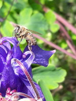 20190526_123834.jpg