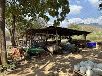 IMG_8061.jpeg