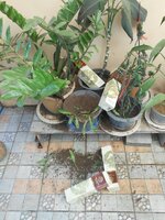 IMG_20171230_163551.jpg