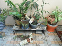 DSCN9989.JPG