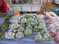 DSCN9659.JPG