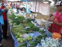 DSCN9660.JPG