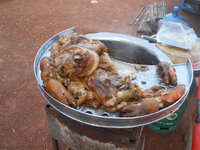 DSCN9678.JPG