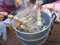 DSCN9648.JPG