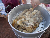 DSCN9647.JPG