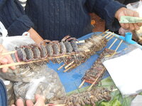 DSCN9645.JPG