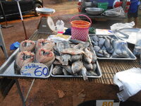 DSCN9654.JPG