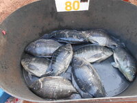 DSCN9651.JPG