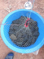 DSCN9649.JPG