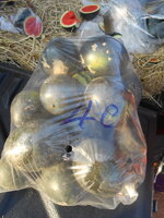 DSCN9642.JPG