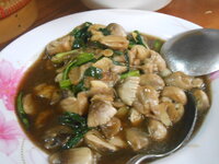 DSCN8913.JPG