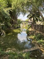 IMG_8153.jpeg