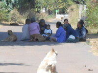 DSCN9613.JPG