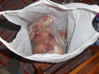DSCN9414.JPG DSCN9414.JPG