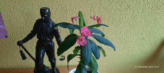 20241222_161149.jpg