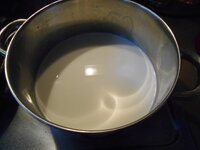 DSCN9968.JPG