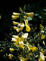 20190526_125213.jpg