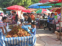 DSCN8525.JPG