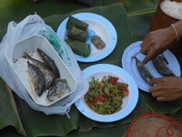 DSCN0448.JPG