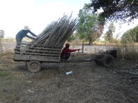 DSCN0535.JPG