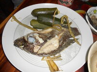 DSCN0424.JPG DSCN0424.JPG