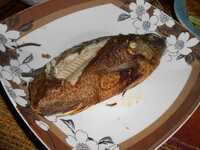 DSCN0425.JPG DSCN0425.JPG