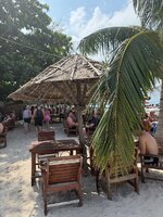 IMG_6168.jpeg