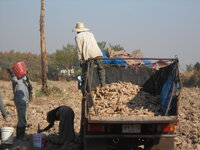 DSCN0676.JPG