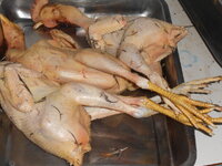DSCN0743.JPG