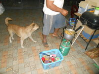 DSCN0749.JPG