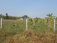 DSCN0856.JPG