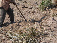 DSCN0858.JPG