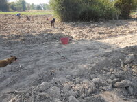 DSCN0860.JPG