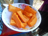 DSCN0865.JPG