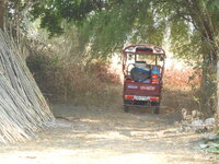 DSCN0913.JPG