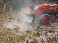 DSCN8828.JPG