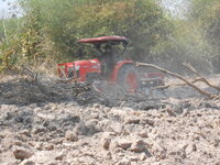 DSCN8826.JPG