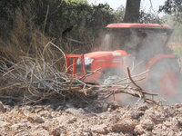 DSCN8827.JPG