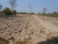 DSCN8820.JPG