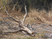 DSCN8831.JPG