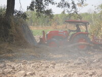 DSCN8835.JPG