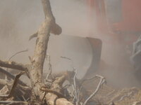DSCN8839.JPG