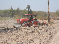 DSCN8832.JPG