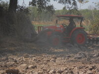 DSCN8836.JPG