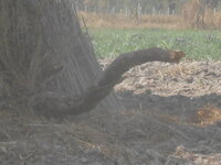 DSCN8837.JPG