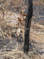 DSCN8850.JPG